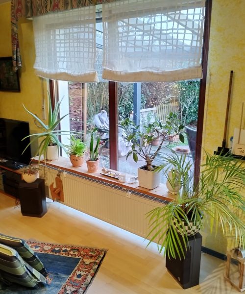 Holzoptik trifft auf moderne Technik