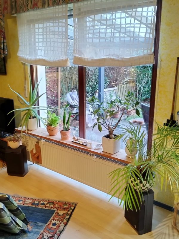 Holzoptik trifft auf moderne Technik