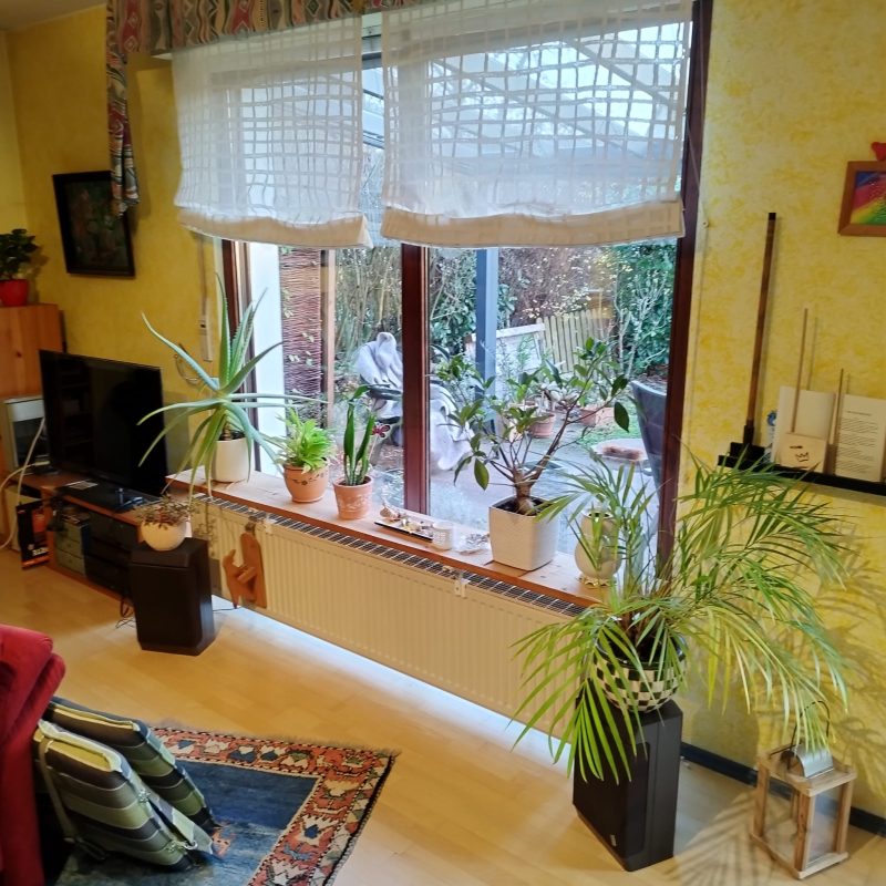 Holzoptik trifft auf moderne Technik