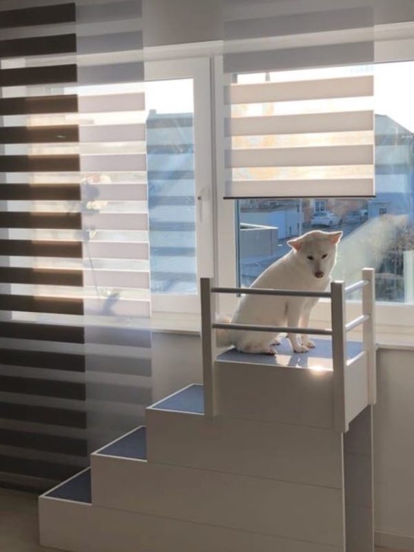 Hundetreppe Projekt